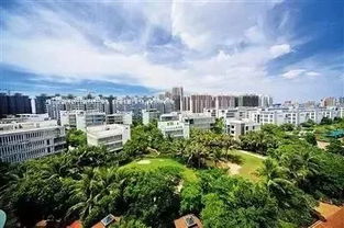 重磅 海南這4個地方被國家點名,將大力發(fā)展