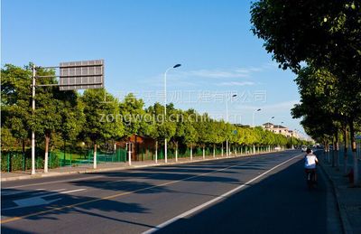 融合生態(tài)與都市 上海道路綠化工程施工與景觀(guān)設(shè)計(jì)深度解析